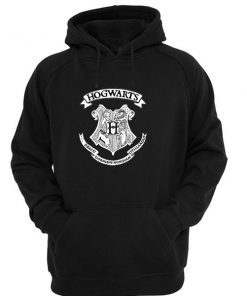 hogwarts draco dormiens nunquam titillandus hoodie
