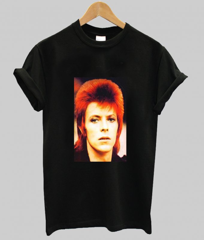 David Bowie Ziggy Stardust T Shirt 7812