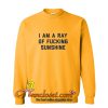 I Am a Ray of Fucking Sunshine Sweatshirt At