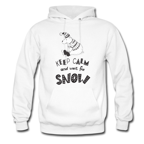 Keep clam and wait for snow Hoodie AI