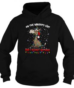 Donkey On The Naughty List And I Regret Nothing Christmas Hoodie SFA