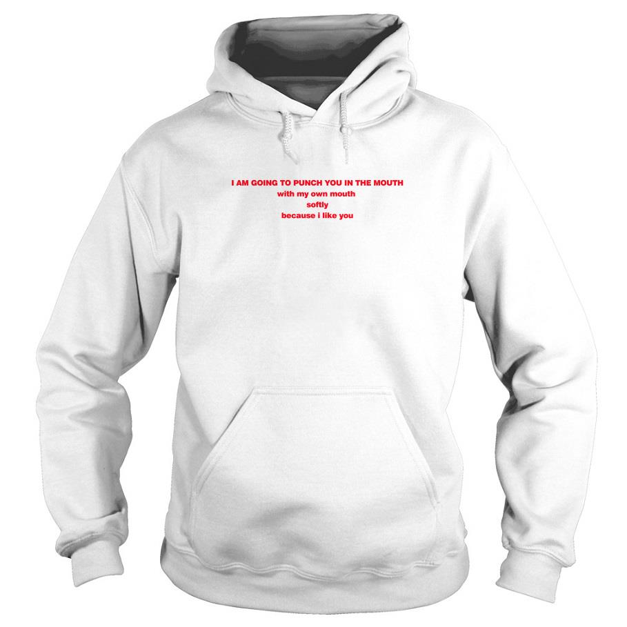 I Am Going To Punch You In The Mouth With My Own Mouth Softly Hoodie SFA