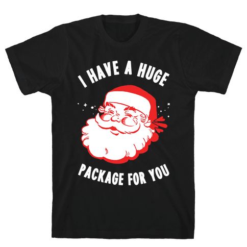 I Have A Huge Package For You Santa Tshirt SFA