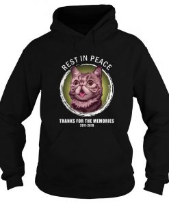 Lil Bub Rest In Peace Thanks For The Memories 2011 2019 Hoodie SFA