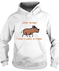 Dog Sorry Im Late I Didn’t Want To Come Hoodie SFA