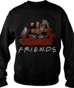 Friends Harry Potter Tv Show Sweatshirt SFA