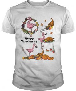 Happy Thanksgiving Flamingo T Shirt SFA
