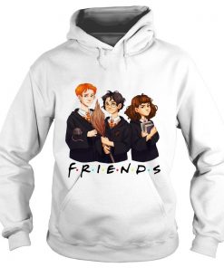 Harry Potter Hermione And Ron Friends Hoodie SFA