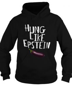 Hung Like Epstein Hoodie SFA