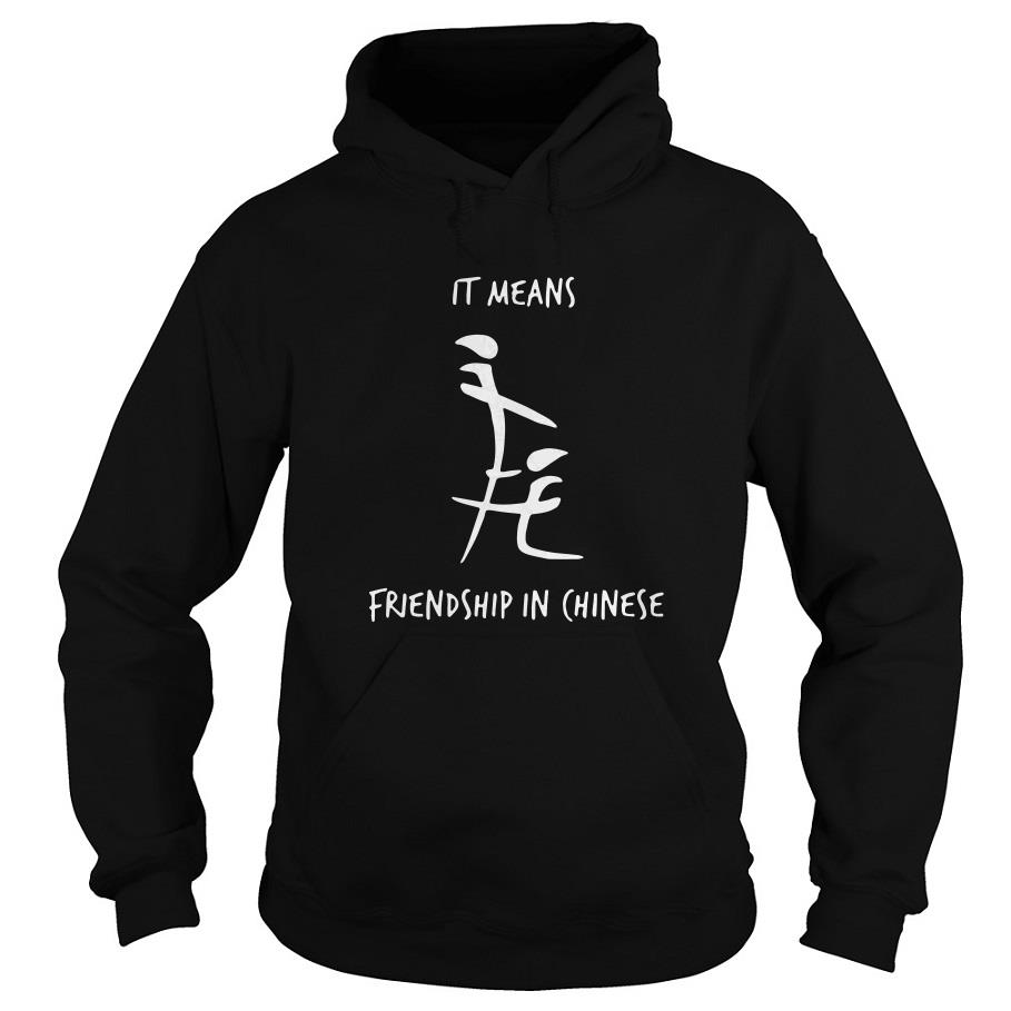 It Means Friendship In Chinese Hoodie SFA