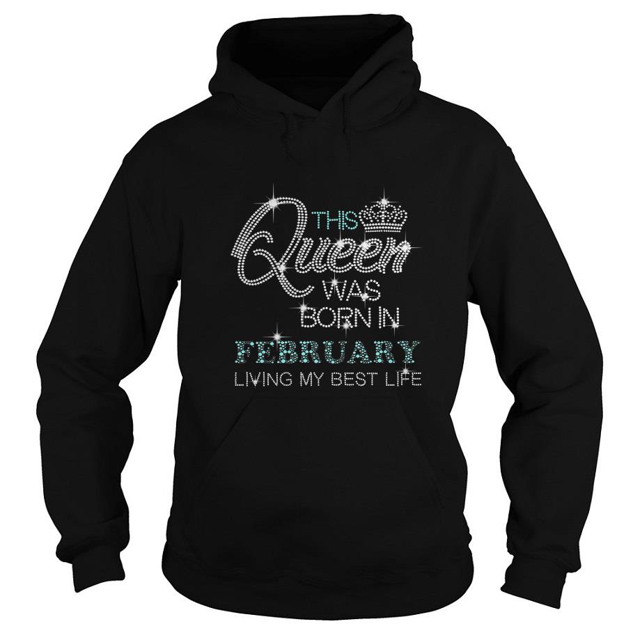 This Queen Was Born In February living my best life diamond Hoodie SFA