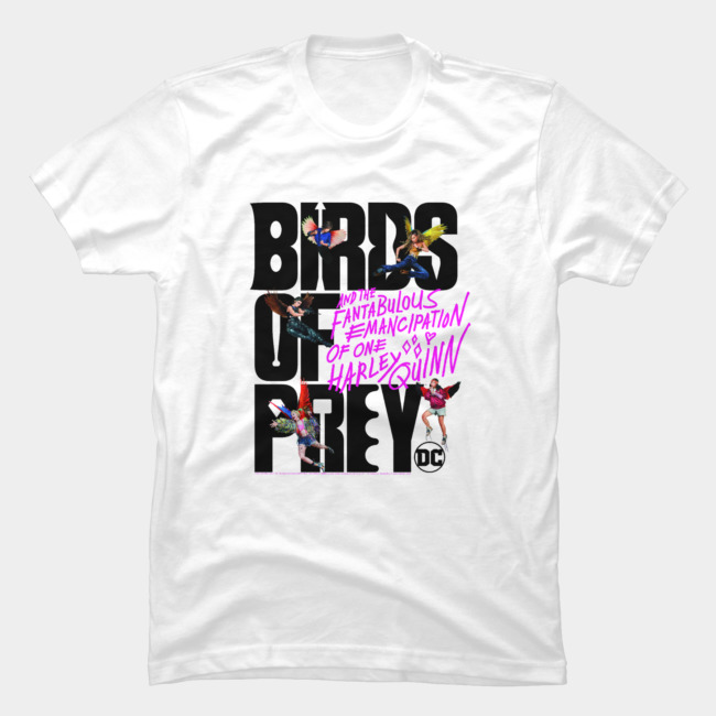 Birds Of Prey In Flight T Shirt SFA