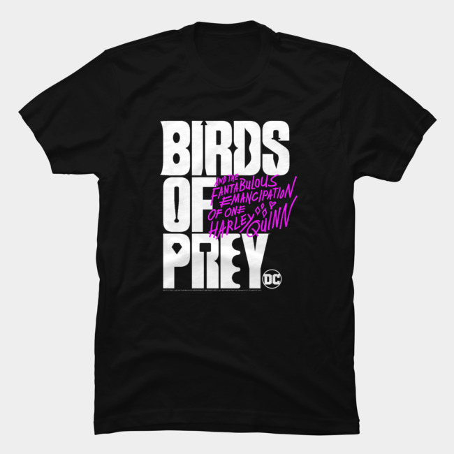 Birds Of Prey Logo Stack T Shirt SFA