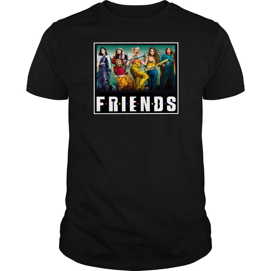 Harley Quinn Friends Tv Show T Shirt SFA