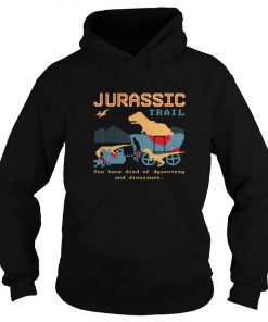 Jurassic Trail You Have Died Of Dysentery And Dinosaurs Hoodie SFA