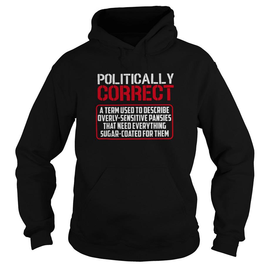 Politically Correct A Term Used To Describe Overly Hoodie SFA