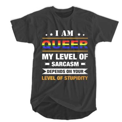 I am Queer my level of sarcasm depends on your level of stupidity t shirt F07